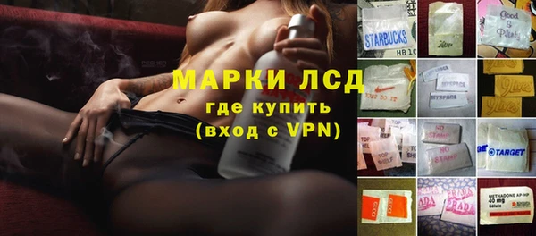 прущие грибы Нязепетровск