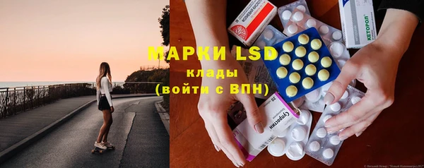 спайс Няндома