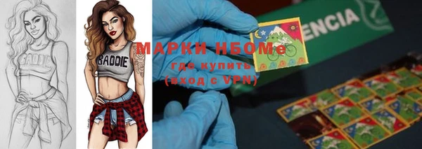 прущие грибы Нязепетровск