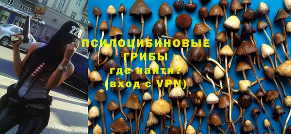 spice Нягань