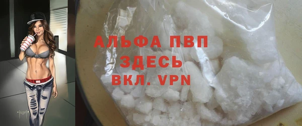 гашик Осташков