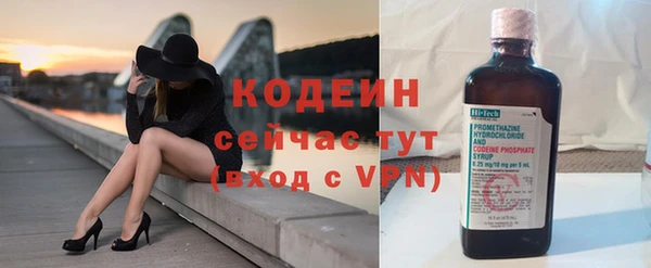 спайс Няндома