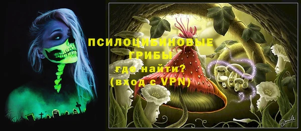 прущие грибы Нязепетровск