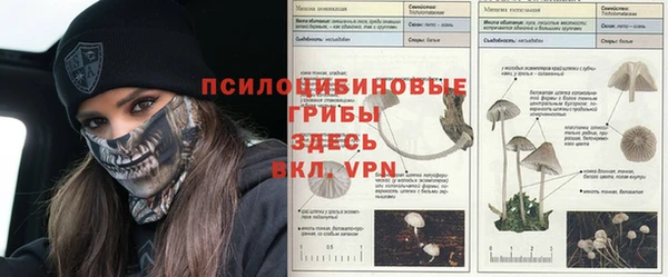 соль курить ск Дедовск