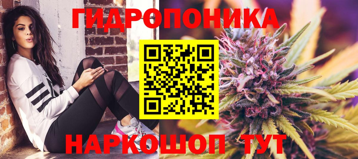 Шишки марихуана SATIVA & INDICA  МАРИХУАНА планчик  Марихуана VHQ  Отрадный  Вход с VPN  Марихуана SATIVA & INDICA 